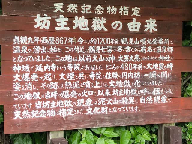 �R���������āA�V�R�V��n���͗ǂ������ł��I_�V��n��