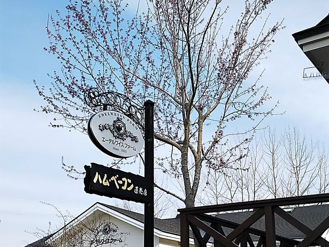 񂳂̃G[fCXt@[X̓eʐ^1