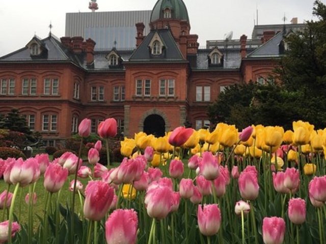 �k�C�������{����_�k�C�������{����(�Ԃ�񂪒���)