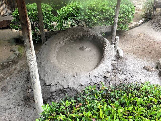 �S�ΖV��n���ƓV�R(�D)�V��n���͈Ⴂ�܂��B�S�΂͂���10�N���炢�ō���������ł��B_�V��n��