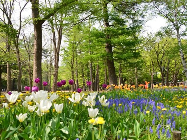 �~�R����_�~�R����