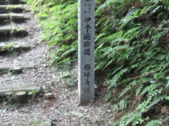 とーみんさんの横峰寺の投稿写真5