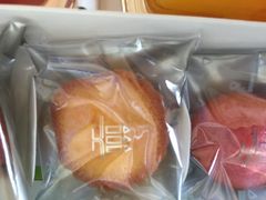 �|���|������̃A�����E�V�����p���e�B�G�����{�X�ւ̓��e�ʐ^1