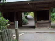 Ɓ[݂񂳂̉􎛂̓eʐ^3