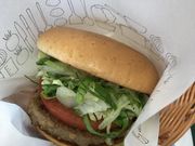 ݂񂳂̃Xo[K[nwX̓eʐ^1