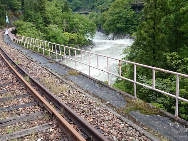 �k�J�R�[�X�F�k���̏��ʉߒ�_���[���}�E���e���o�C�N�@�f�����������@�f���I�I