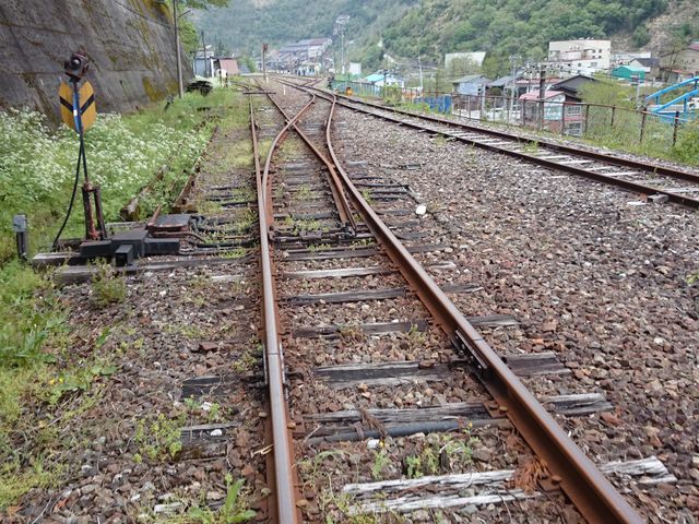 �܂��Ȃ��R�[�X�F�_���z�R�O�w�ł̓|�C���g��ʉ�_���[���}�E���e���o�C�N�@�f�����������@�f���I�I