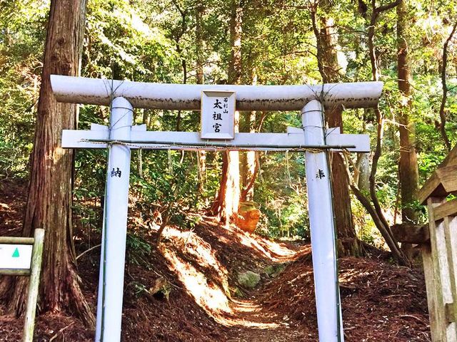 �����_��a�̐X�V����