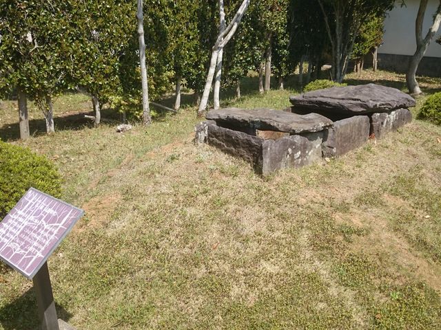 �Ί�_�����݂�����s���j������