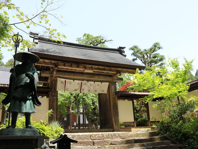 ����ǂ�����̈������̌얀�U�N���̓��e�ʐ^2