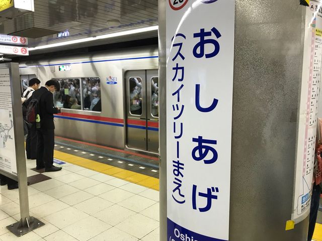 �s�c�n���S�󑐐� ����w_�s�c�n���S�󑐐�����w