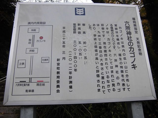 �����Ŕ�_�Z���_�Ђ̃J�S�m�L