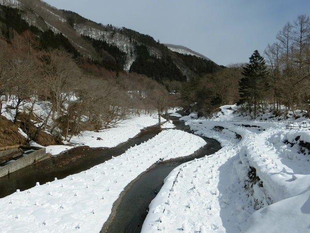 ��ɂ͖�i���I_�����쉷��