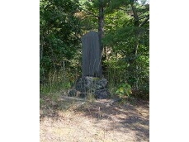 肻Ȃ̗Ǌ̔iԍRj̓eʐ^1