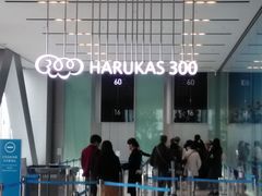 肻Ȃ̃nJX300ւ̓eʐ^1