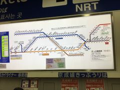 �^�Ⴓ��̋����d�S ���闢�w�ւ̓��e�ʐ^1