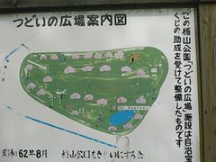 キムタカさんの楯山公園の桜の投稿写真2