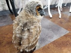 Ă邳̂ρ[@tNEJtFr܂ւ̓eʐ^1