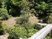 ���񂿂�񂳂�̖����̓��e�ʐ^1