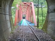 ꂨ񂳂̃[}EeoCN@f@fII̓eʐ^2