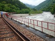 ꂨ񂳂̃[}EeoCN@f@fII̓eʐ^3