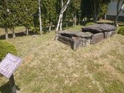 ꂨ񂳂݂̂sjق̓eʐ^3