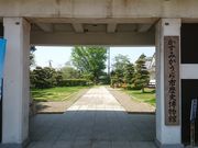 ꂨ񂳂݂̂sjق̓eʐ^5