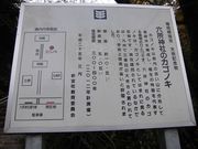 JOE̘Z_Ђ̃JSmL̓eʐ^1