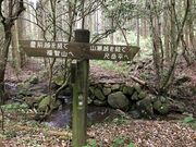 JOE̎ڊx?qRRV̓eʐ^1