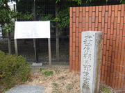 �g�V���[����̔����񑾘Y���ƐՂ̓��e�ʐ^1