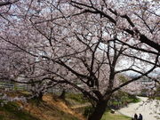 JOE����̓�����̍��̓��e�ʐ^1