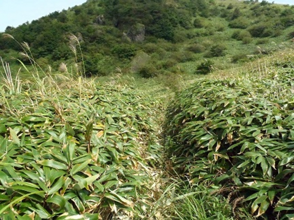 西鉄新宮駅周辺の動物園 植物園ランキングtop10 じゃらんnet