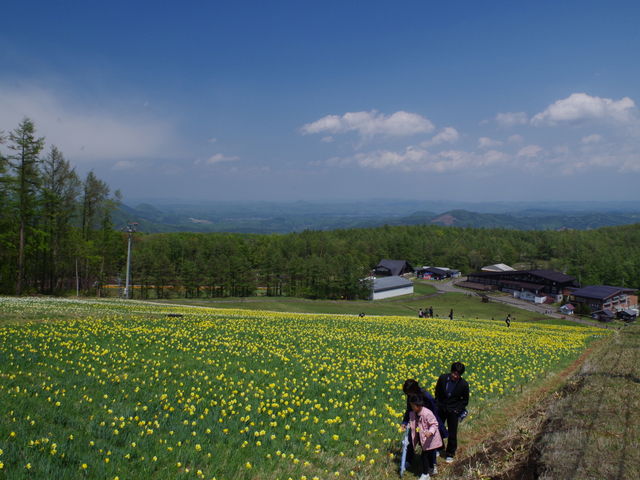 傪Qfʂɍ炢Ă܂B_{鑠ڂՂ