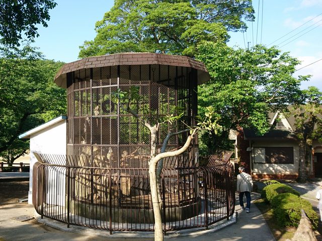 �����ȓ�����_�������������