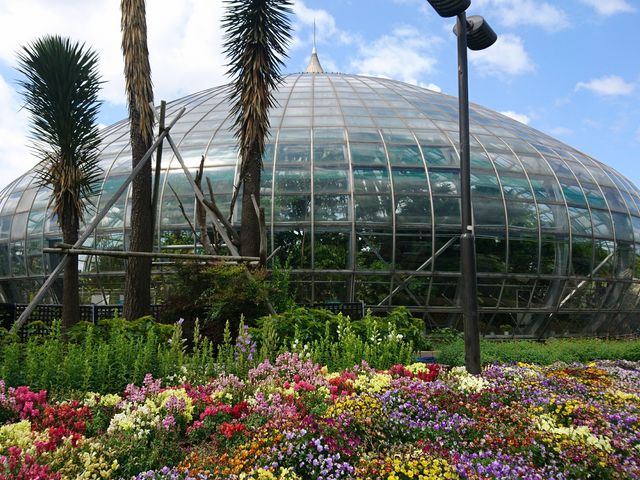 �M�ѐ��̐A������������_�P�H�s���蕿�R�����A����