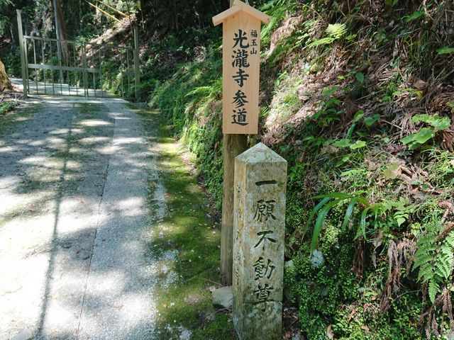 ����̂�������̌��ꎛ�̓��e�ʐ^1