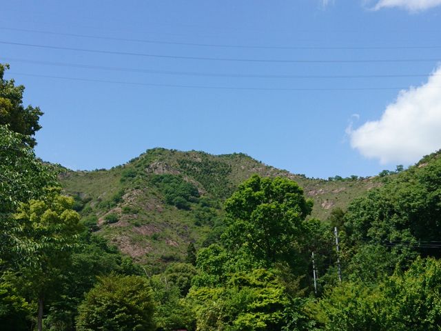 ���ォ��͊C�܂łƂĂ������炵������_����ʎR