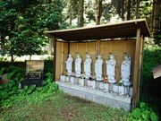 ����̂�������̊�N���̓��e�ʐ^1