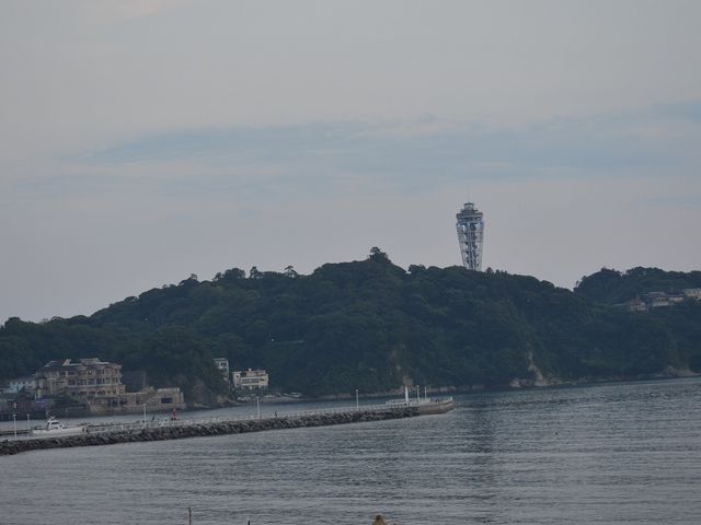 ���l����̒���_�А����l�E�����C������