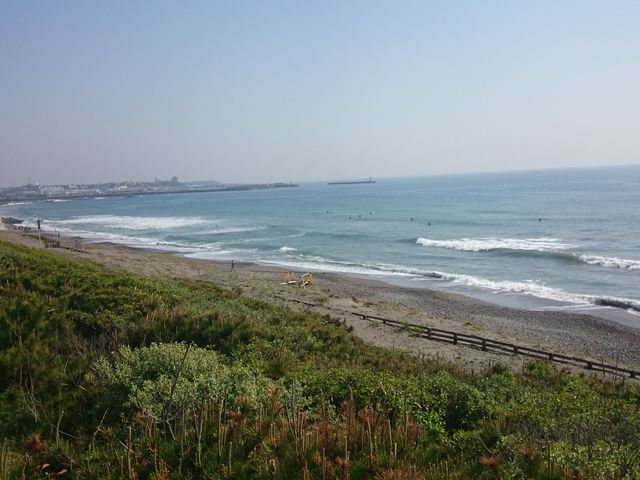 �C������_���T���r�[�`