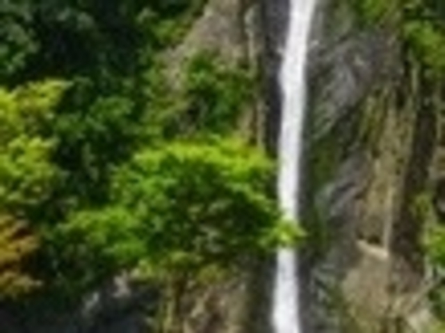 �t���X�s�[�h����̌��_�̑�̓��e�ʐ^1