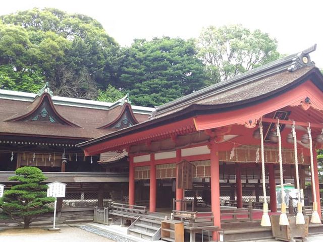 �q�a�Ɩ{�a_�Z�g�_�Ж{�a