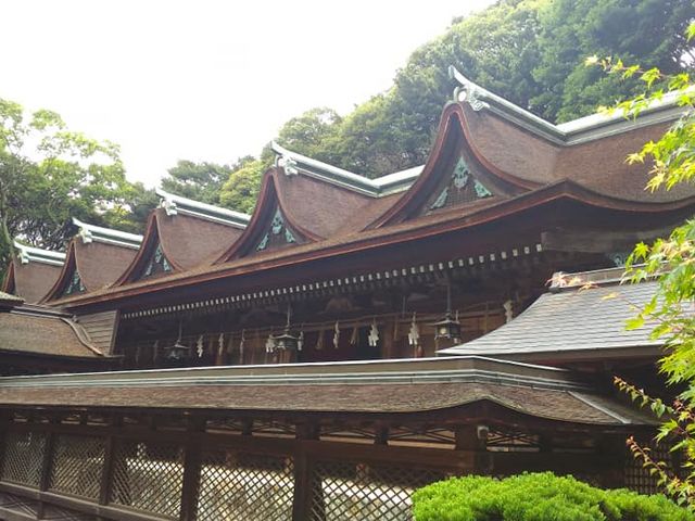 �{�a_�Z�g�_�Ж{�a