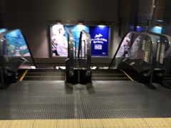 ₳̉Hc`1E2^[~iwւ̓eʐ^1