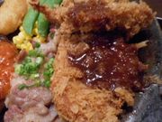 Ⴝ낤̃KXg t命X̓eʐ^1