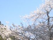 tXs[h̉_􎛂̍̓eʐ^1