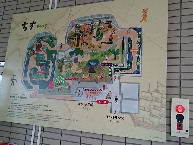 n}_Ƃ~[WAi΂ƉԂƒ̔فj