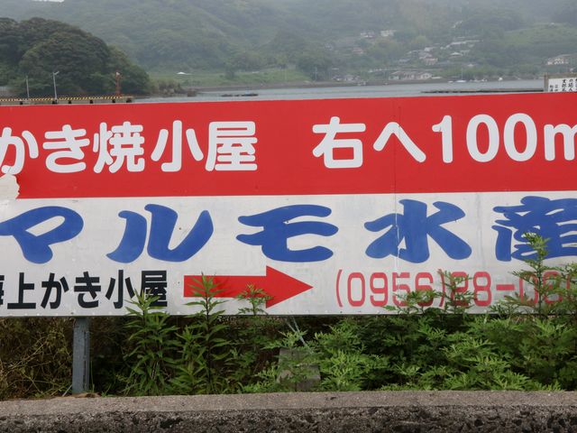 ԏ̐^Oɑ傫ȊŔ_}Y Cォ