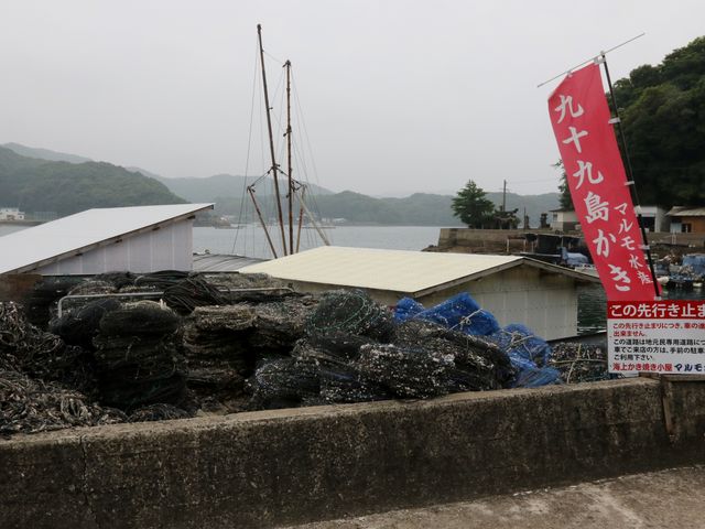 Ƃ񂳂̃}Y Cォ̓eʐ^2