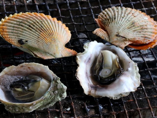 qIEMLꏏɏĂ_}Y Cォ